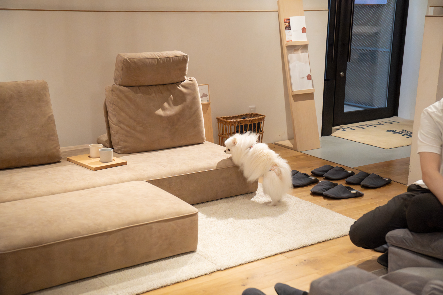 DSC02899 | ローソファー・フロアソファ専門店 HAREMのブログ【公式】