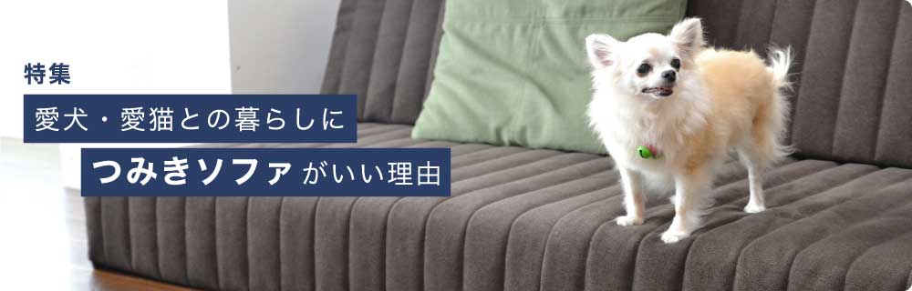 特集：愛犬・愛猫との暮らしにつみきソファが良い理由：ローソファ専門店HAREM