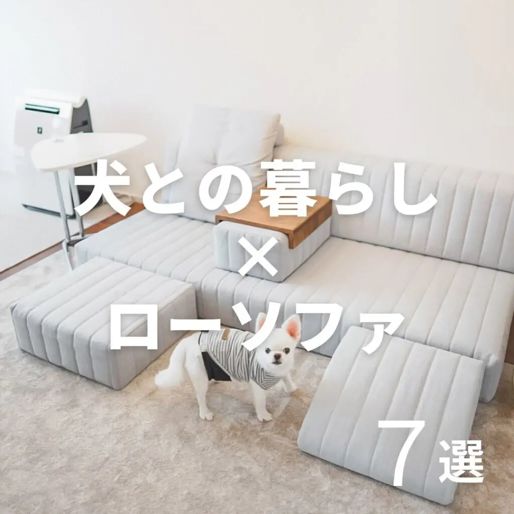 犬 - HAREM MAGAZINE by ローソファ専門店HAREM