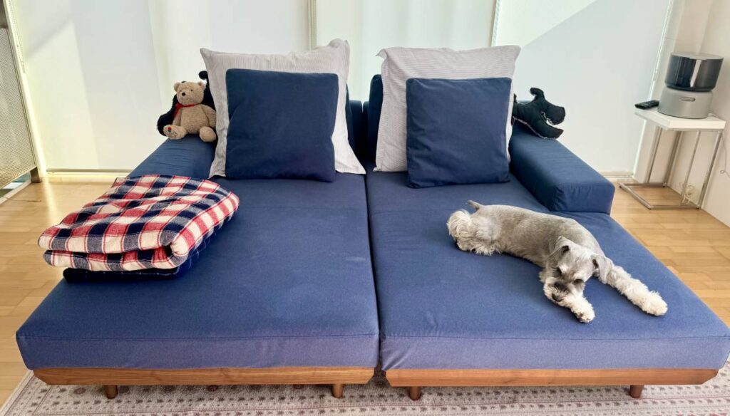 アルバソファって実際どう?2年使用&カバー交換 お客様レビュー