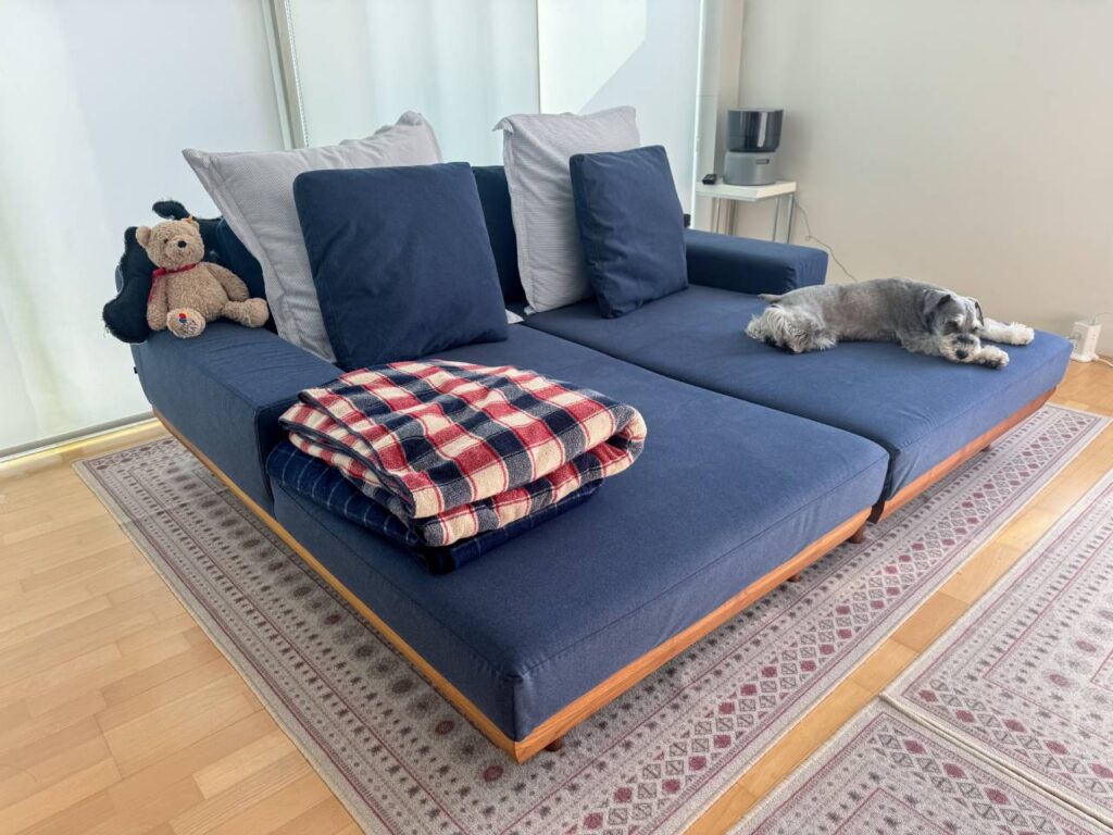 アルバソファって実際どう?2年使用&カバー交換 お客様レビュー