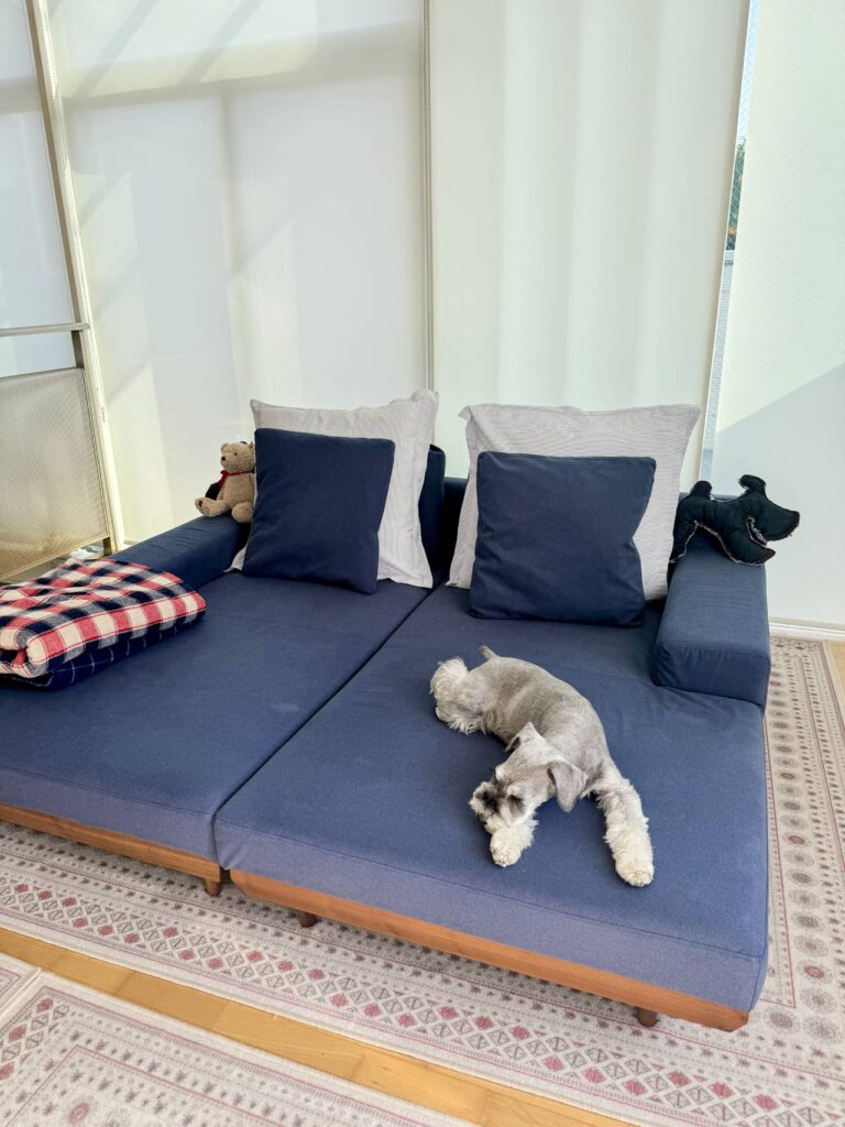 アルバソファって実際どう?2年使用&カバー交換 お客様レビュー