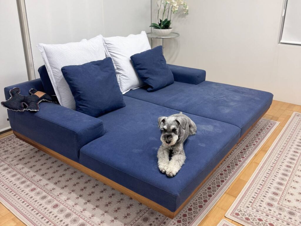 アルバソファって実際どう?2年使用&カバー交換 お客様レビュー