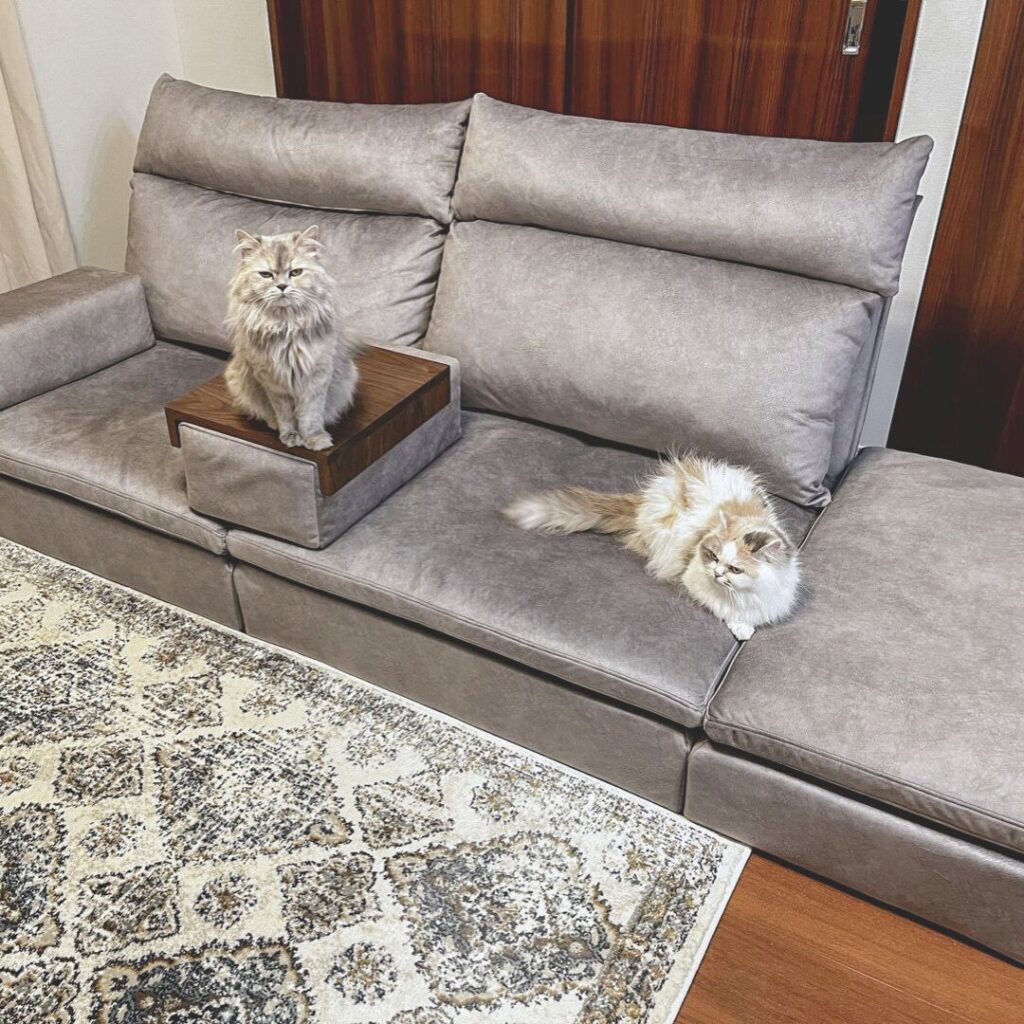 グレー×ローソファ 納品事例|かこみソファ