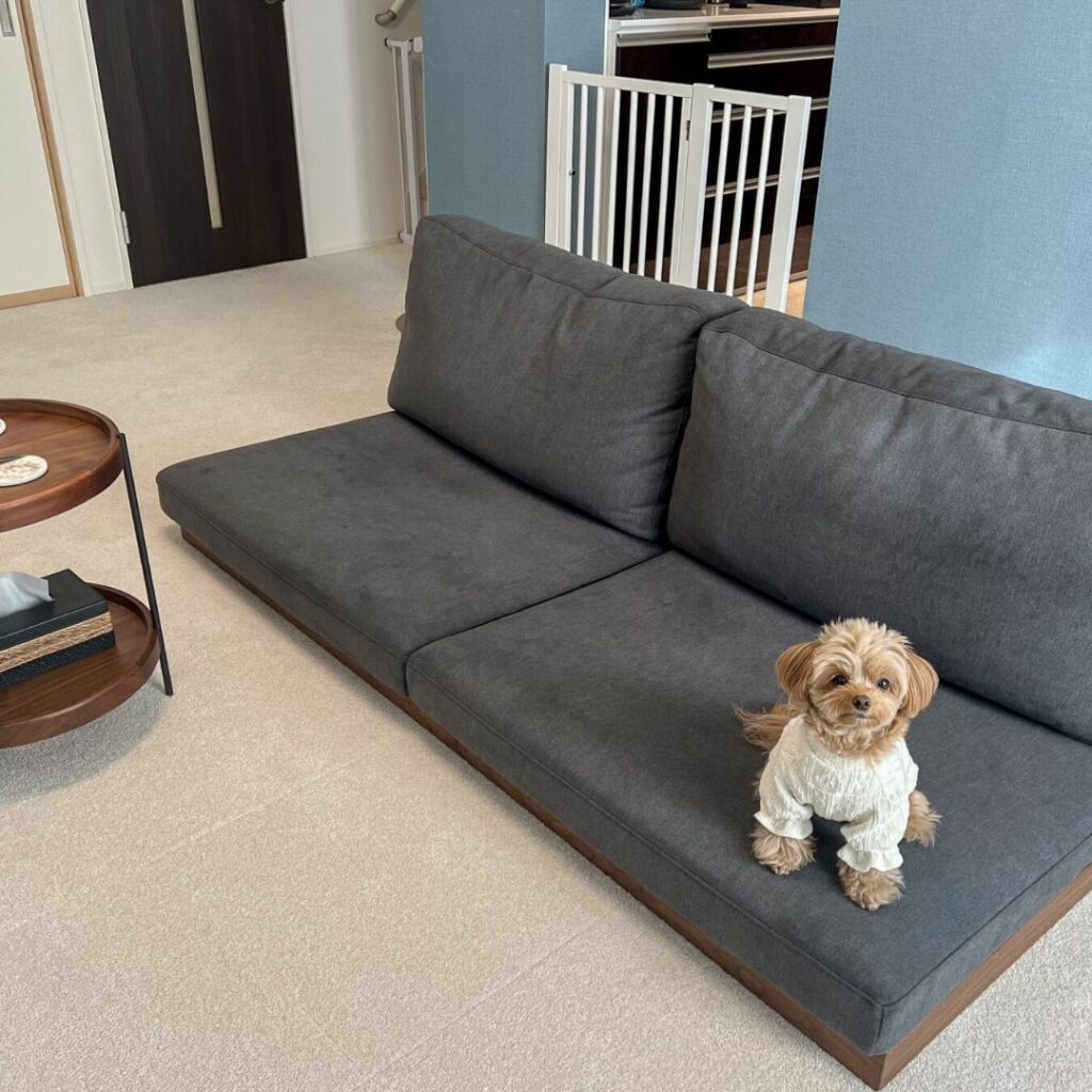 グレー×ローソファ 納品事例|カーヤソファ