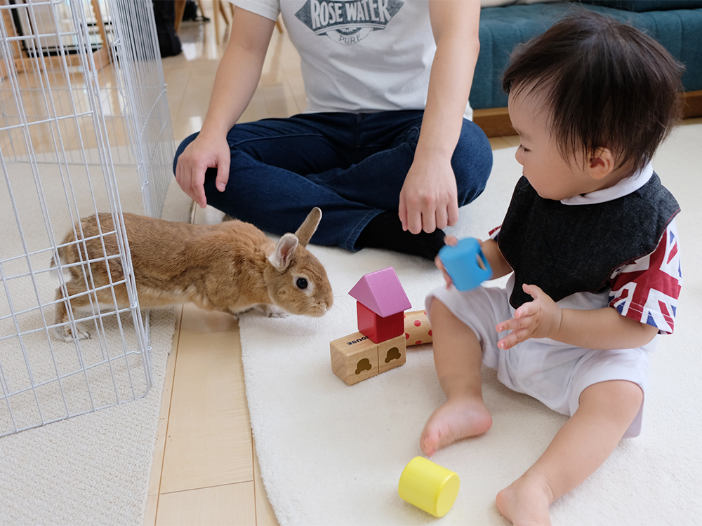 ローソファのある暮らし Long Life