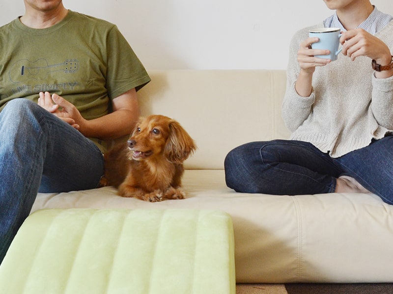 愛猫や愛犬の爪に強いソファカバー ラムース つみきソファ