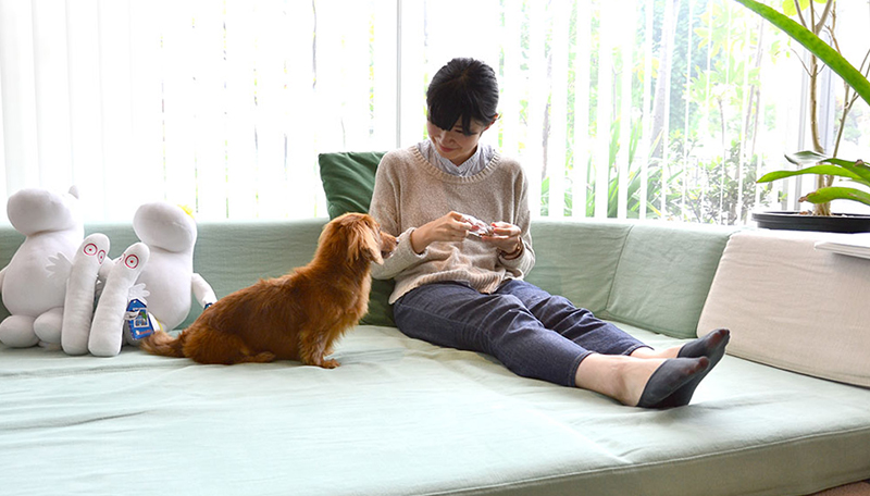 ソファの高さのこと 愛犬との暮らしに