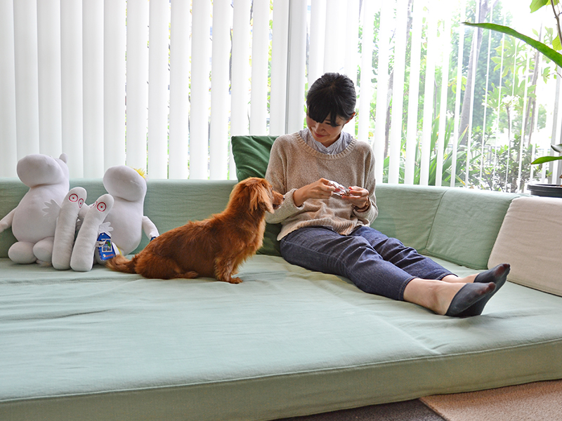 ソファの高さのこと 愛犬との暮らしに