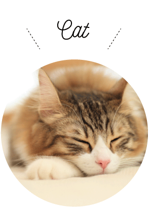 猫などのひっかき傷に強いラームス生地