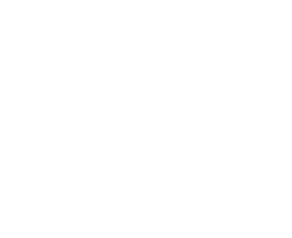 愛犬とローソファを試してみよう!
