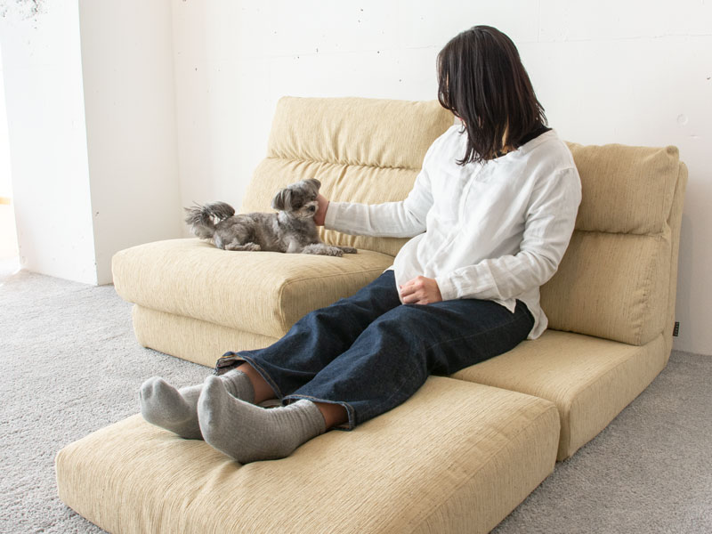 ペットとの暮らしにおすすめのローソファ、ペット対応生地をご紹介