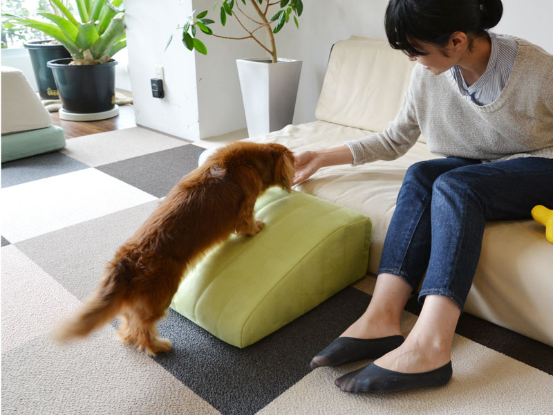 犬と人の暮らしに合うローソファ