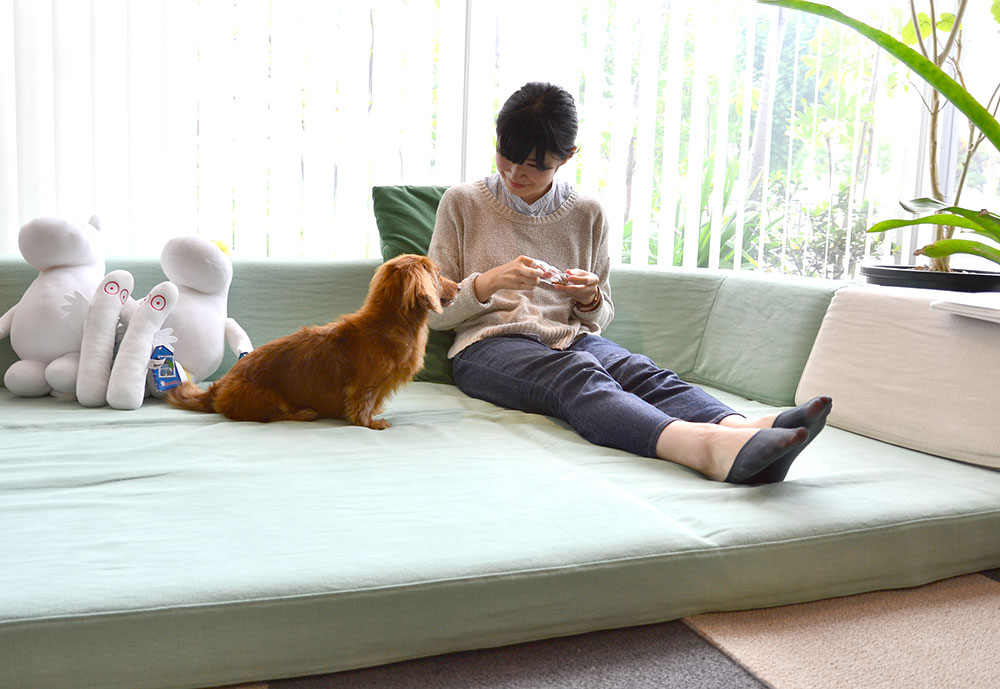 フロアソファと小型犬