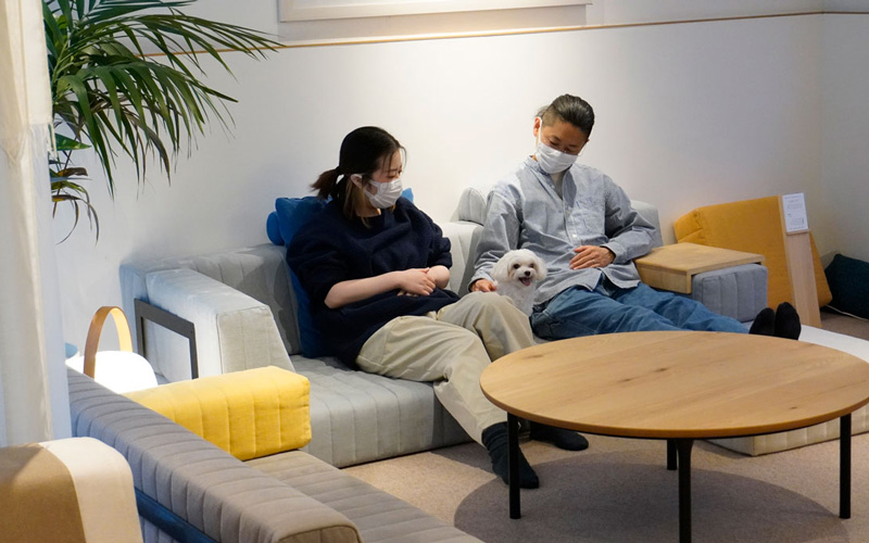 愛犬と一緒にローソファを試してみよう