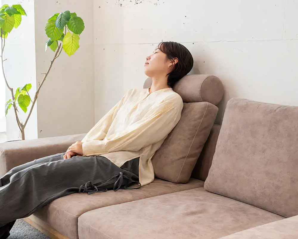 アルバソファ用ヘッドレスト