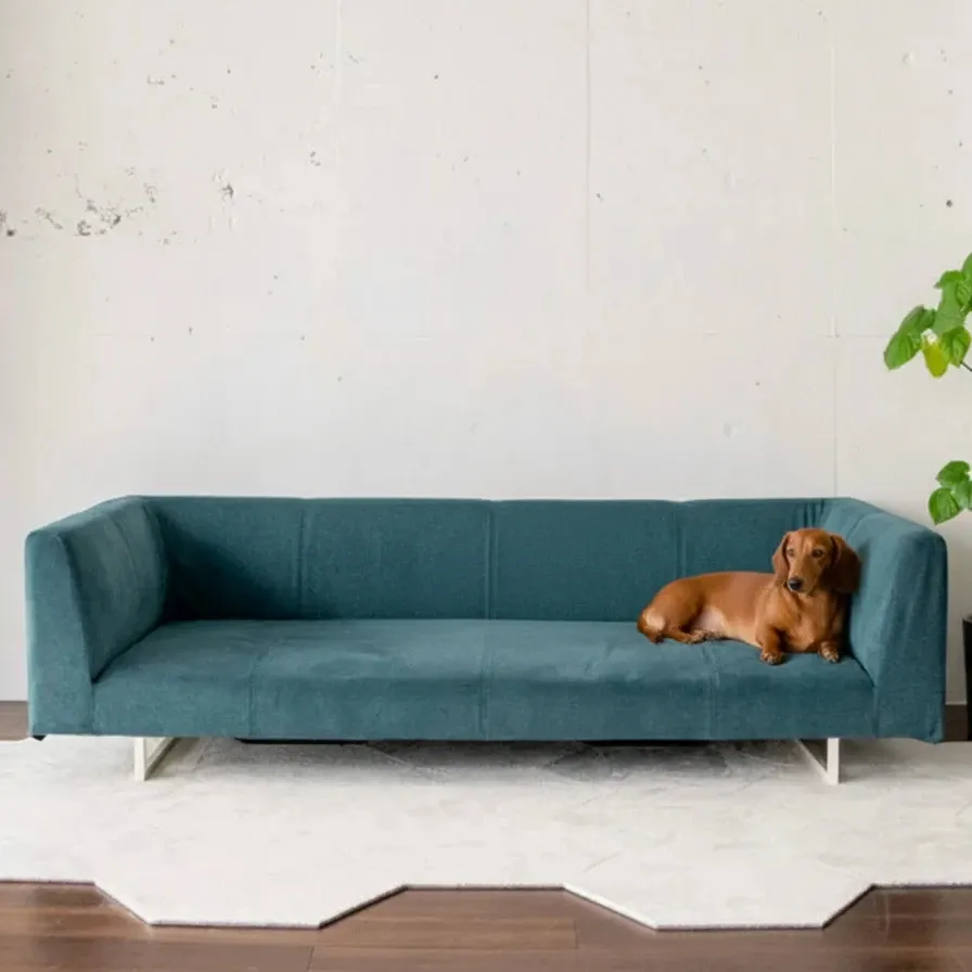 愛犬との暮らしに