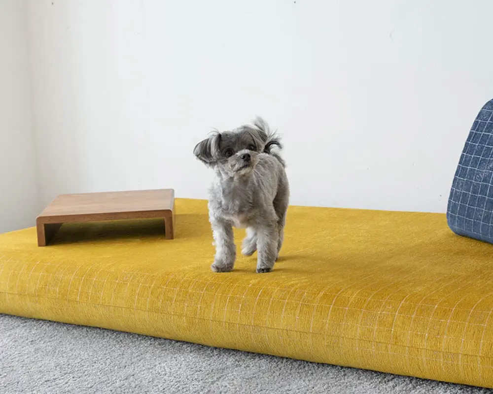 愛犬の骨折やヘルニア予防にぴったり。