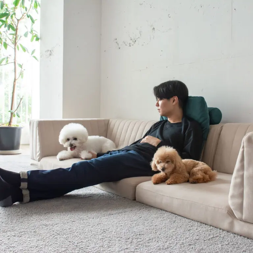 犬と人の暮らしにおすすめ！ローソファの選び方・完全版