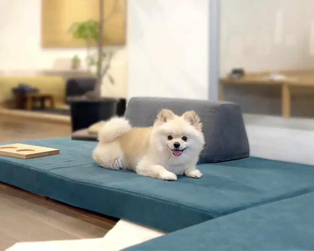 組み合わせ自由なフロフロ