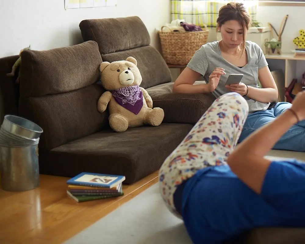 コンパクトなハイバックタイプローソファのパルフィソファ