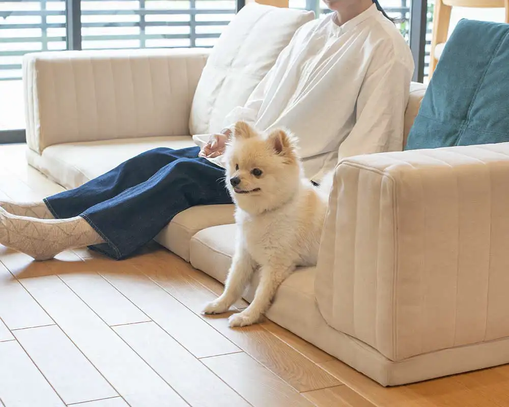 組み合わせ自由なピカソソファ