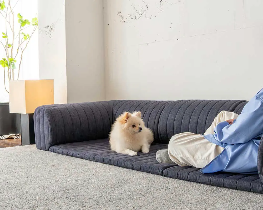 スキップ1ミニソファ 愛犬の骨折やヘルニア予防にぴったり