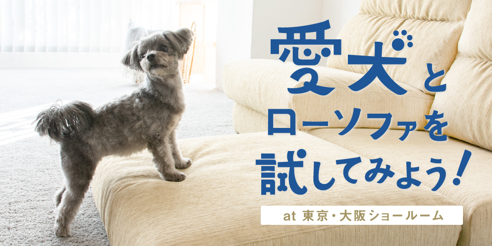 愛犬とローソファを試してみよう！