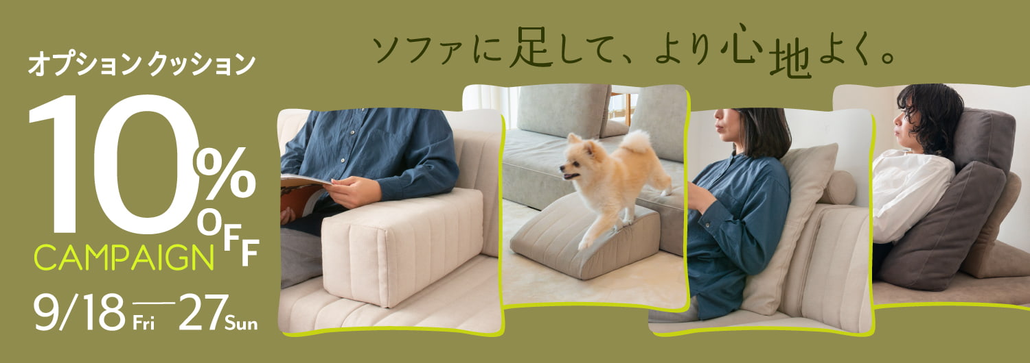 オプションクッション10