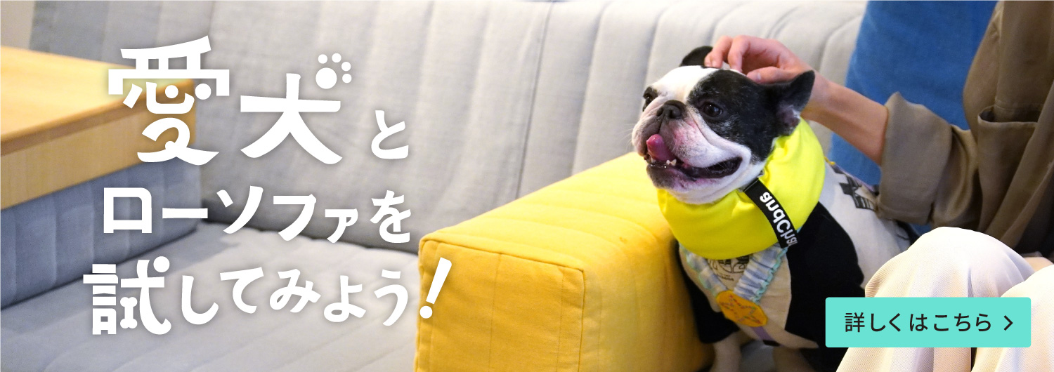 ローソファ専門店HAREM ペットイベント「愛犬とローソファを試そう！」