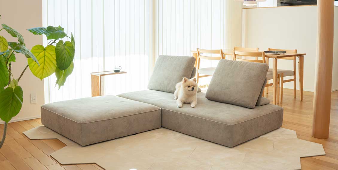 ローソファ専門店HAREM ウィズソファ