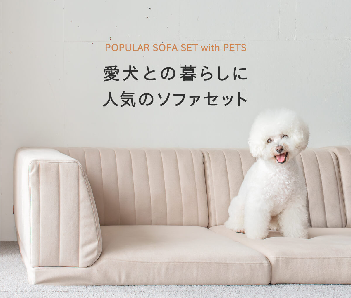愛犬との暮らしにおすすめのセット