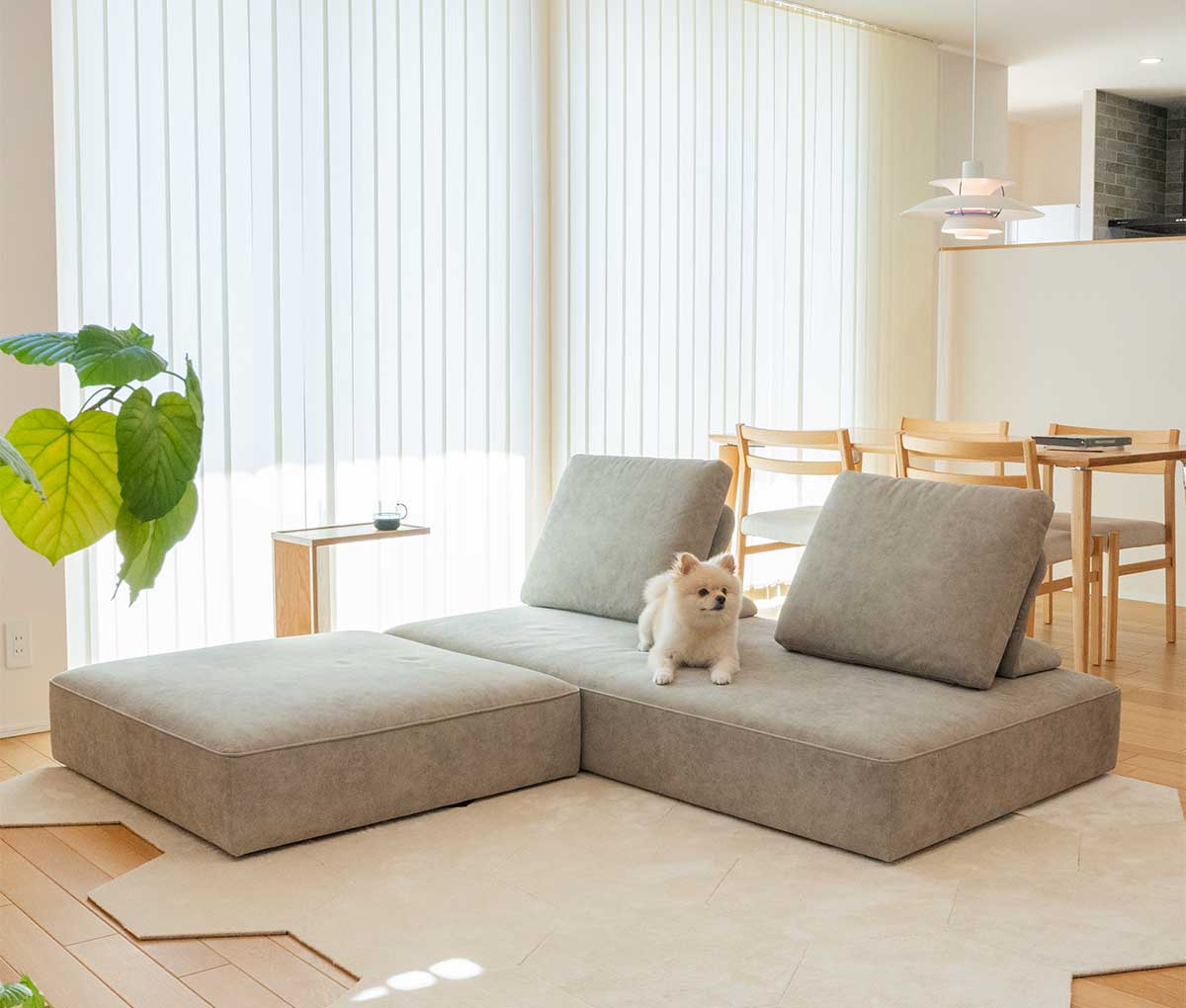 新作ソファ先行展示開始