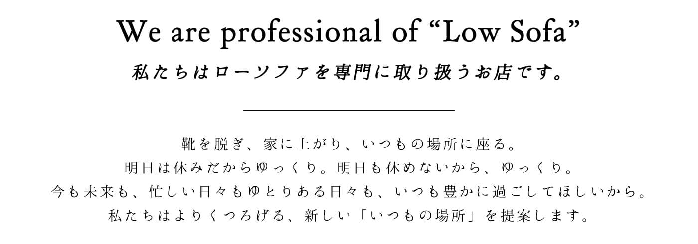 ローソファーを専門に取り扱うお店です