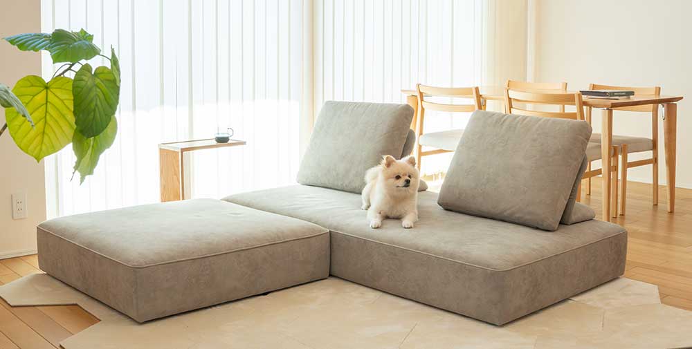 ローソファ専門店HAREM ウィズソファ 愛犬も家族もくつろげるアイランドローソファ