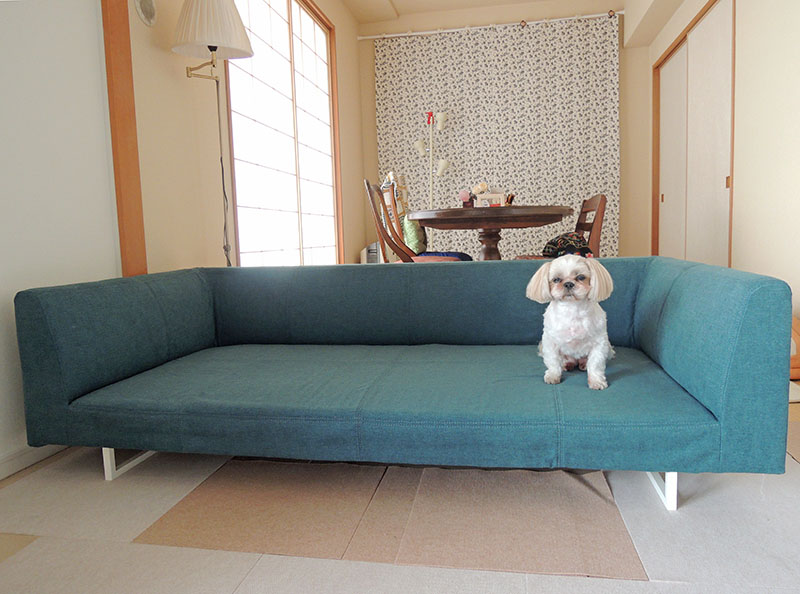 愛犬の足腰のためにも座面高20cmのローソファ。 お部屋もすっきり広く 