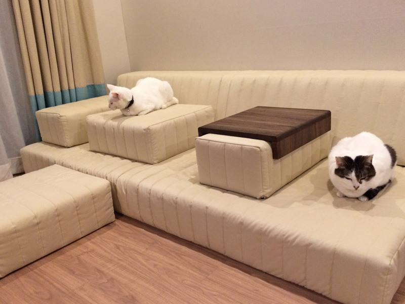 猫の爪とぎ・粗相にも強い、ペット対応生地「ラムース」のソファ。