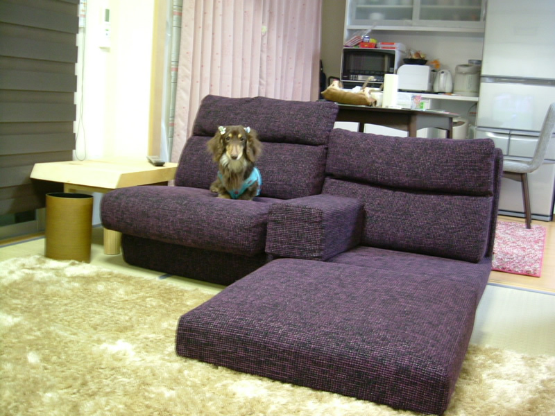 パープルのローソファがシンプルな家具で統一された和室のいい差し色になっています