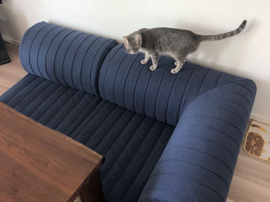 猫の爪とぎにも負けない生地「ラムース」のローソファ。