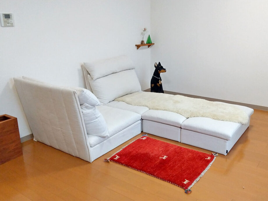 包まれる座り心地で眠りを誘う “魔法のソファ”。