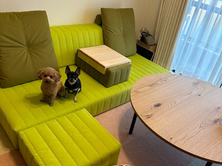 部屋をパッと明るくする、鮮やかなグリーンのつみきソファ！