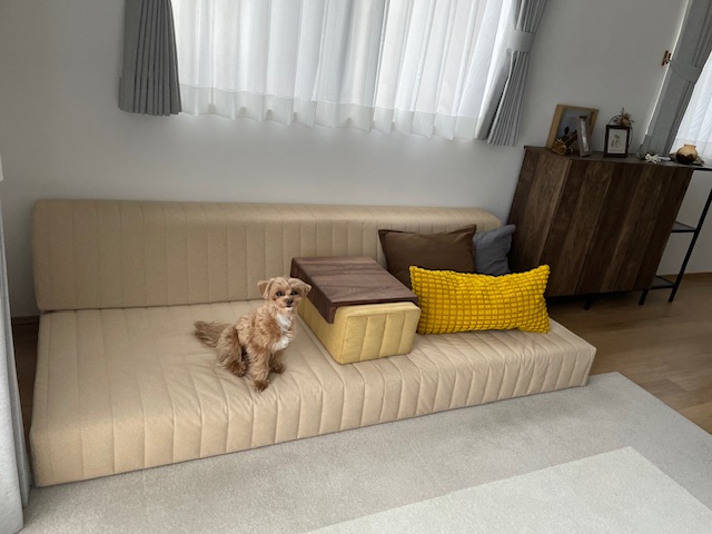 愛犬とソファを試せるショールームで、安心＆納得のお買い物。