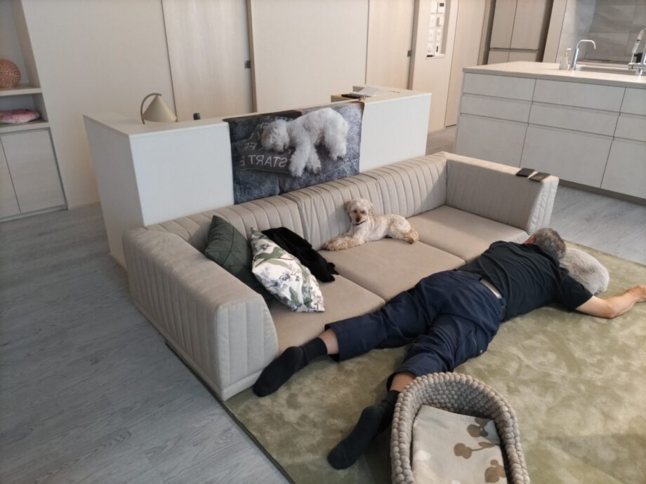 わんこのホリホリに強い生地「ラムース」で、人も犬もゆったりと。