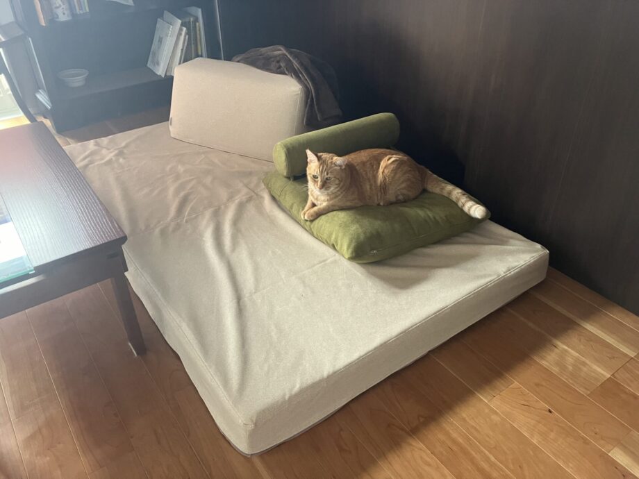 猫さんとの暮らしにぴったり！お手入れしやすいソファ＆生地。