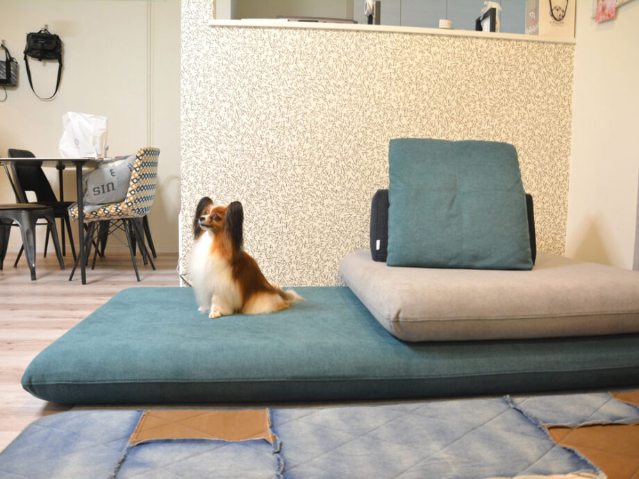 レイアウトを変えて自由にくつろぐ、フレキシブルなローソファ。