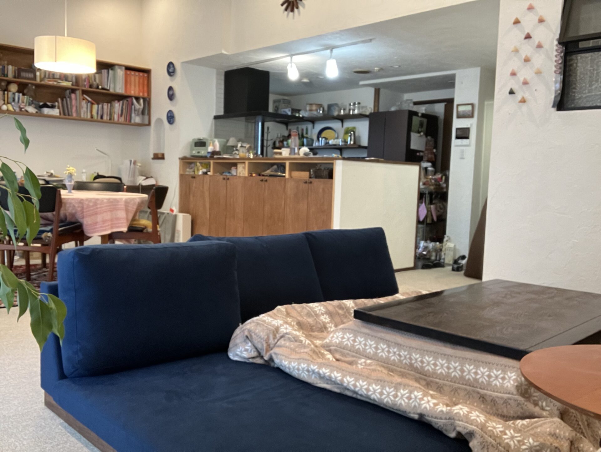 カーヤソファ 店舗限定カラー 3人掛けローソファ ローソファー