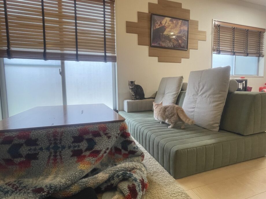 つみきソファ+こたつのコンビで、猫も人もこたつで丸くなろう。