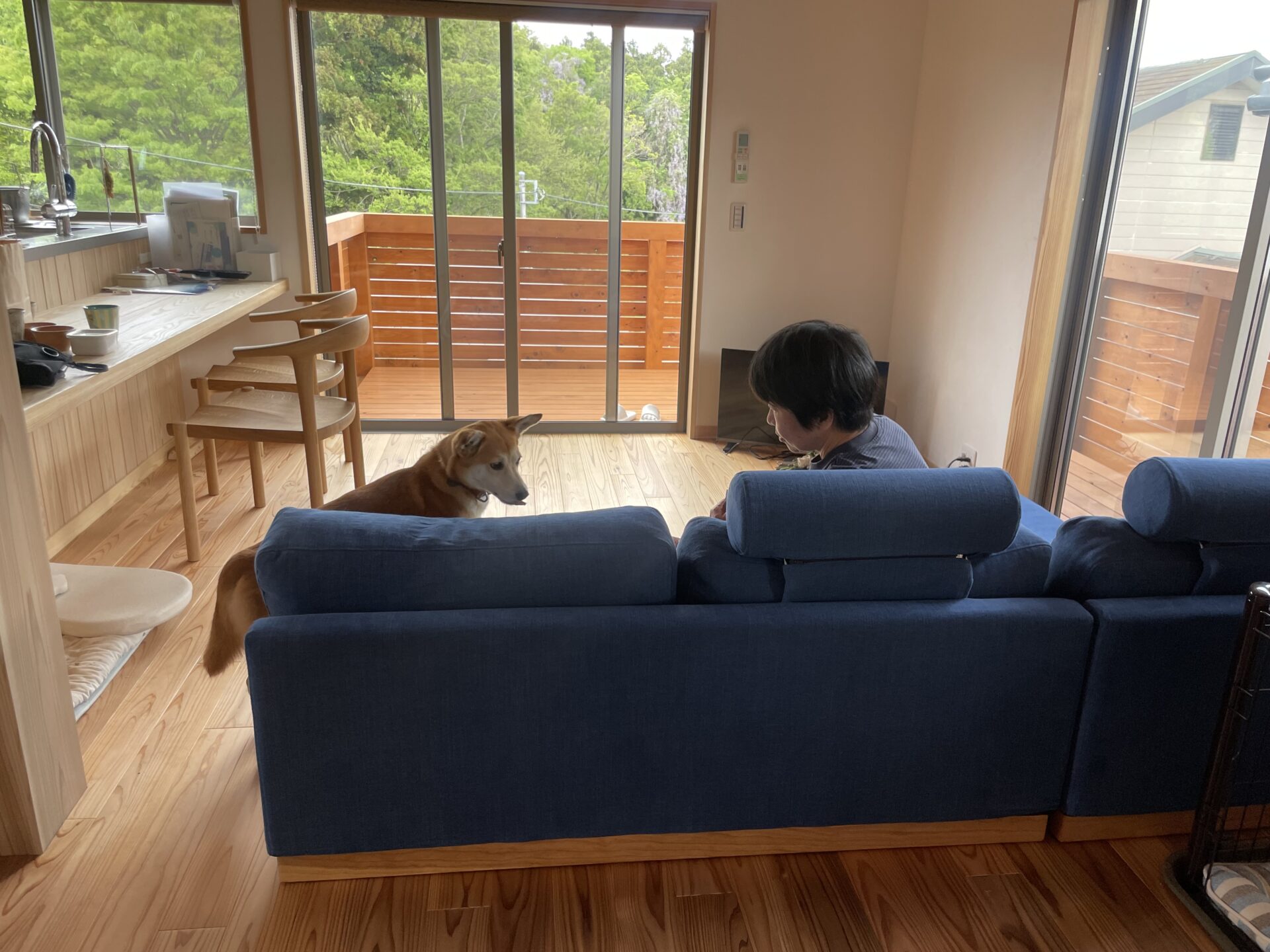 カーヤソファ ブルー 3人掛けローソファ ローソファー