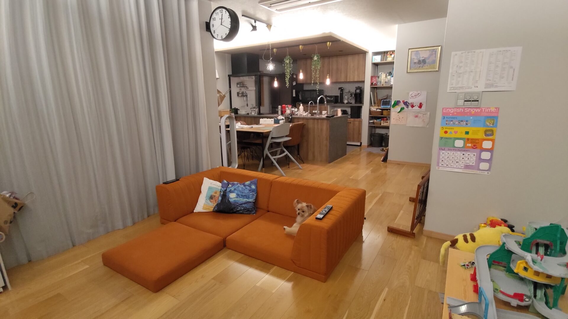 ピカソソファ 店舗限定カラー 2人掛けローソファ ローソファー