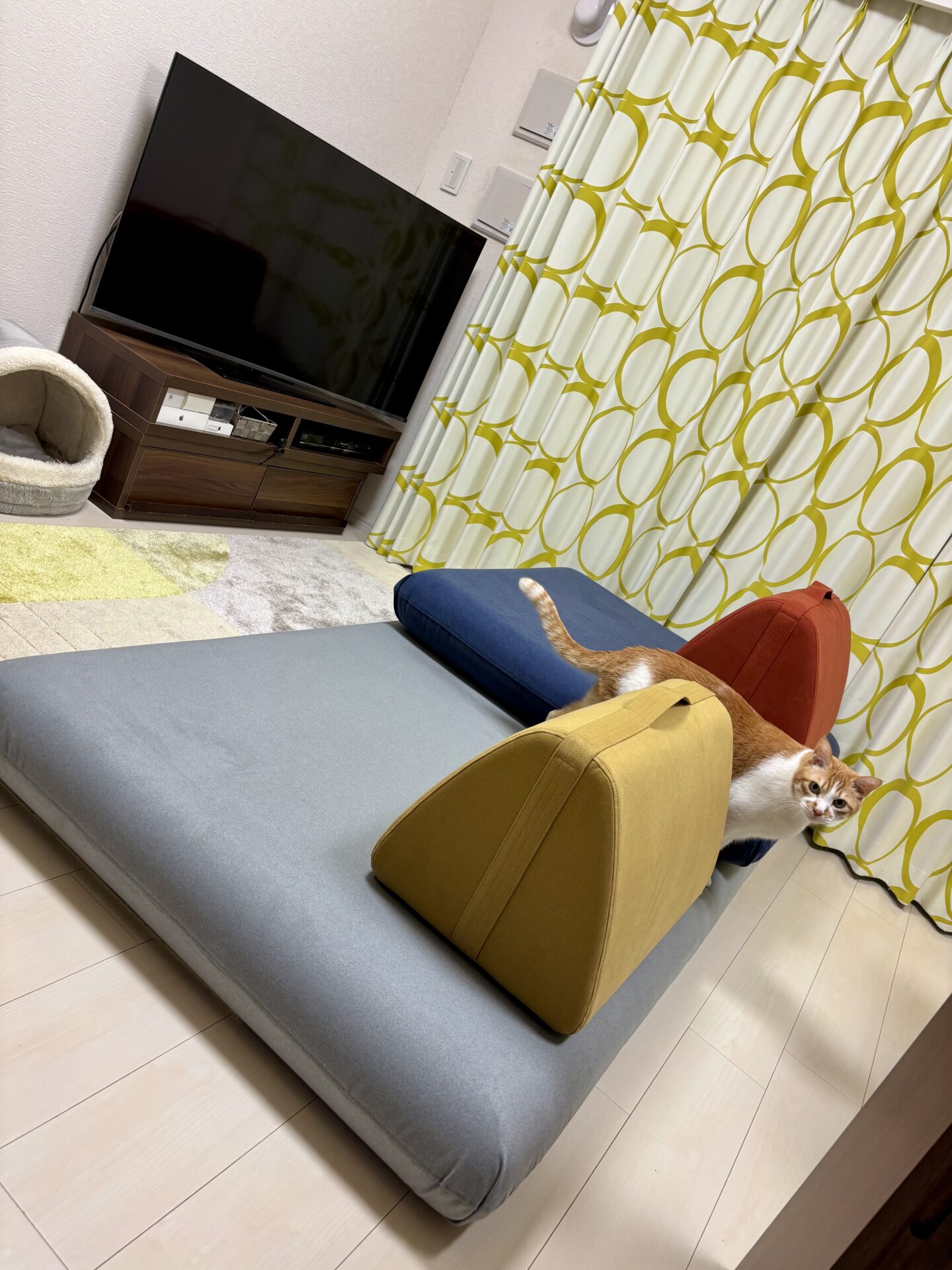 キャリーソファ 店舗限定カラー 2人掛けローソファ ローソファー